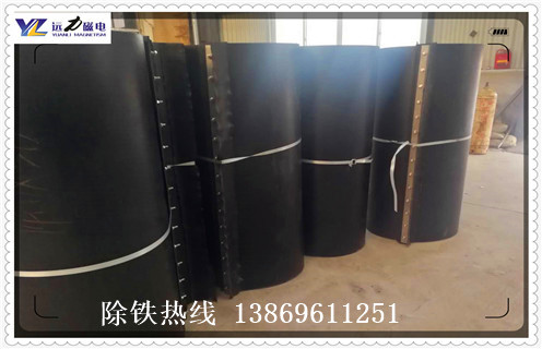 永磁香蕉黄视频入口，广东RCYB--12永磁香蕉黄视频入口行业标准知识参数_内部磁块安装方法_广东RCYB--12永磁香蕉黄视频入口行业标准型号价格 